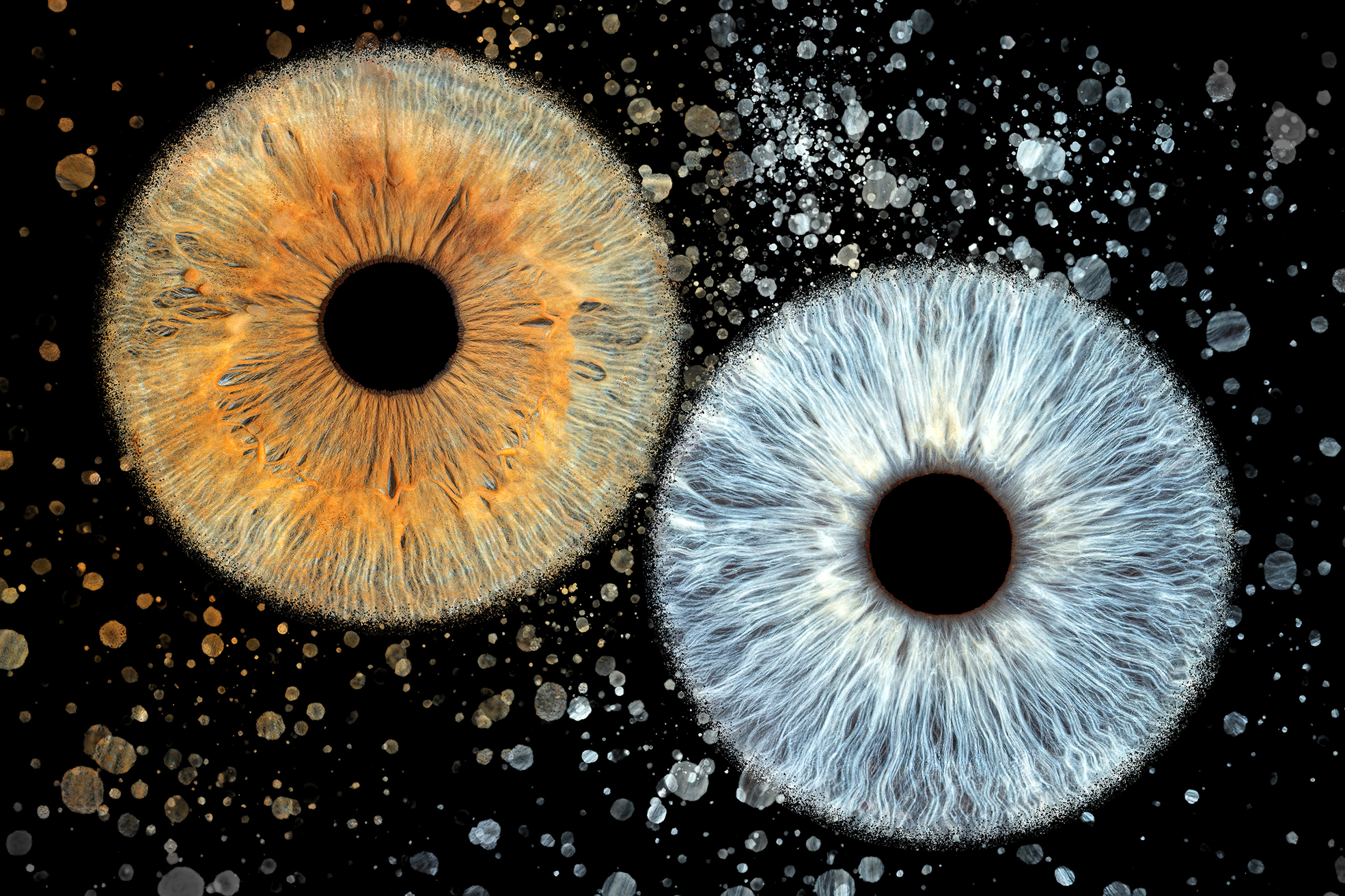 Photo en gros plan des iris de deux personnes différentes, mettant en valeur les couleurs et détails uniques de l’œil, prise par un photographe professionnel en studio à Bressuire.