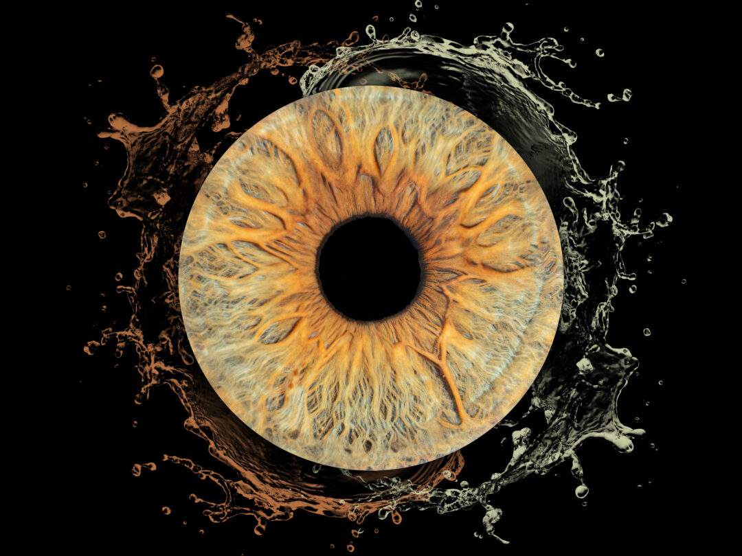 Gros plan sur un iris d’œil en studio à Bressuire
